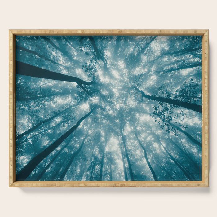 Smoky Mountain Summer Forest Teal - National Park Nature Photography Serving Tray Gallery Image 1