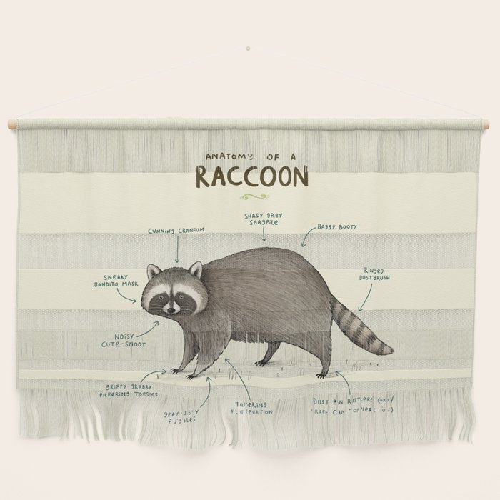 Anatomy of a Raccoon Wall Hanging Gallery Image 1