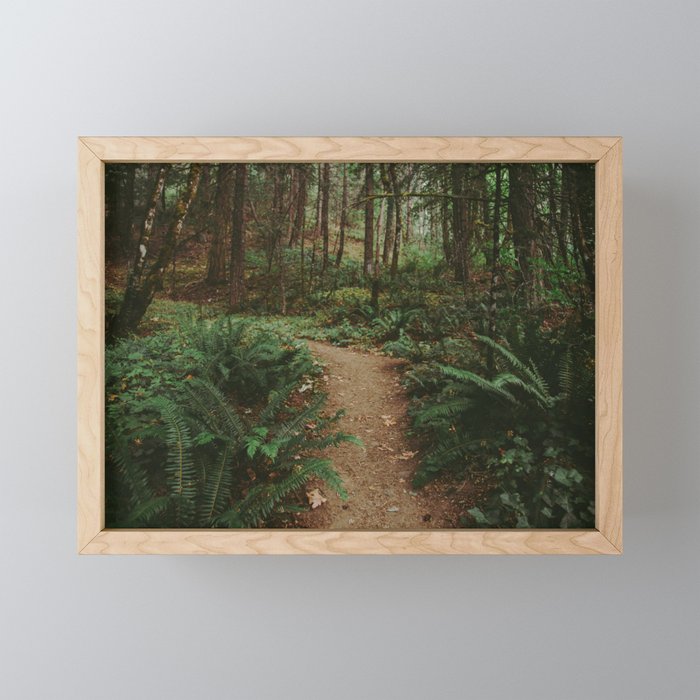 Happy Trails IV Mini Art Print Gallery Image 1