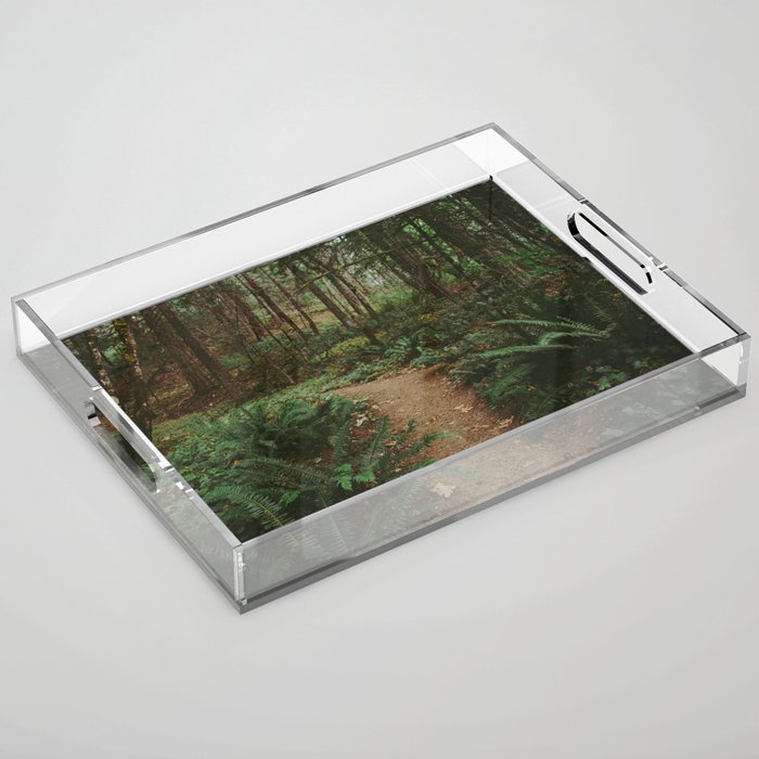 Happy Trails IV Acrylic Tray Gallery Image 1