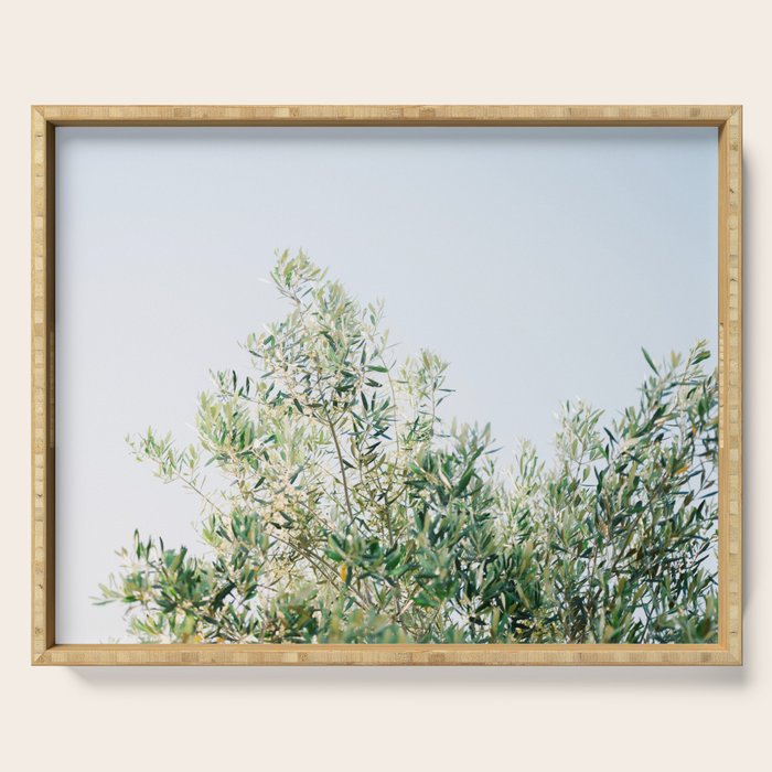 The olive tree | Italy fine art travel photography | Ostuni art Serving Tray Gallery Image 1