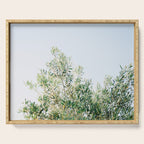 The olive tree | Italy fine art travel photography | Ostuni art Serving Tray Gallery Image 1