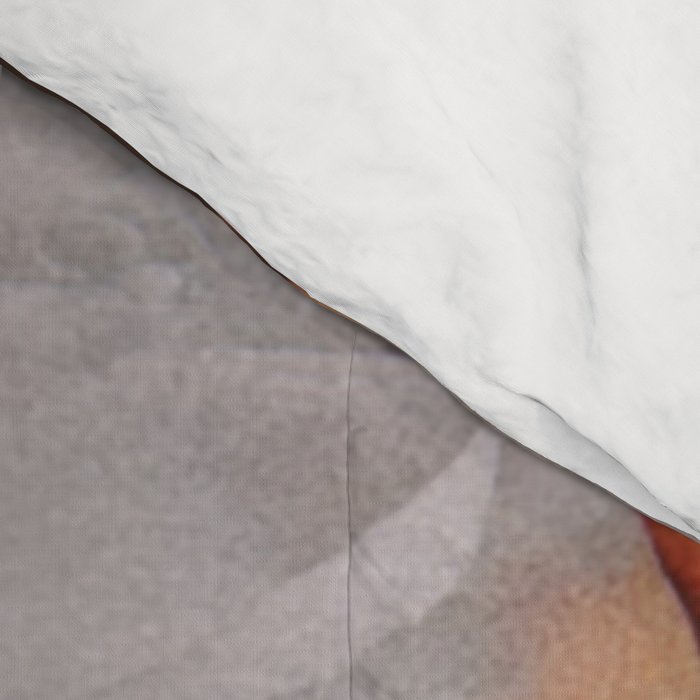 Dreamweaver Comforter Gallery Image 4
