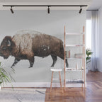 Bison Wall Mural Gallery Image 1