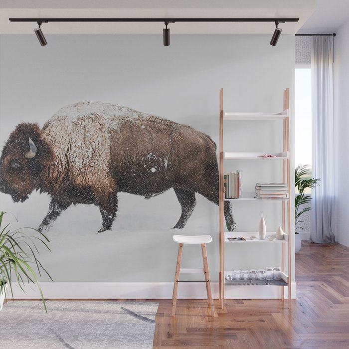 Bison Wall Mural Gallery Image 1