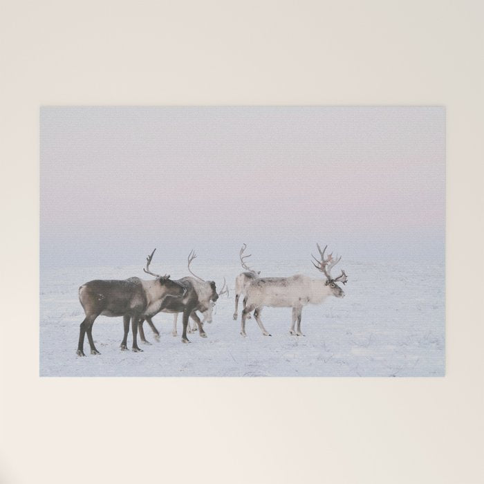 Winter Landscape Photo Art - Lapland Series - Reindeer Moon Minimal Nature Welcome Mat Gallery Image 1