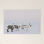 Winter Landscape Photo Art - Lapland Series - Reindeer Moon Minimal Nature Welcome Mat Gallery Image 1