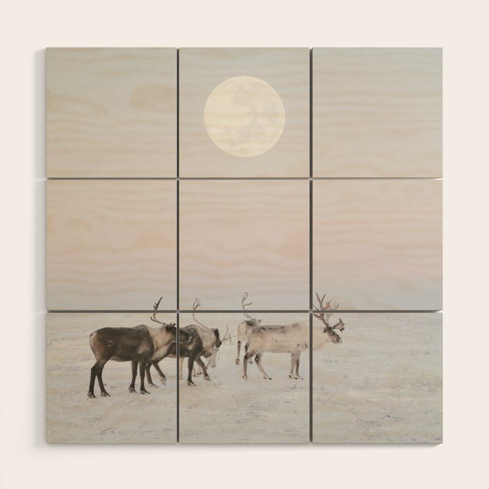 Winter Landscape Photo Art - Lapland Series - Reindeer Moon Minimal Nature Wood Wall Art Gallery Image 1