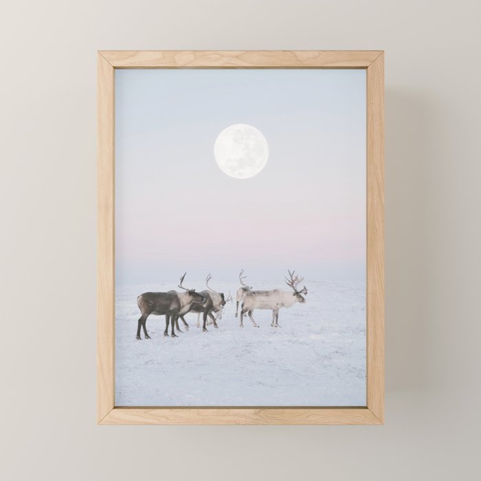 Winter Landscape Photo Art - Lapland Series - Reindeer Moon Minimal Nature Mini Art Print Gallery Image 1