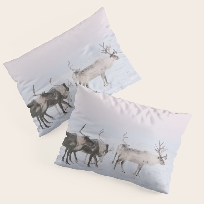 Winter Landscape Photo Art - Lapland Series - Reindeer Moon Minimal Nature Pillow Sham Gallery Image 3