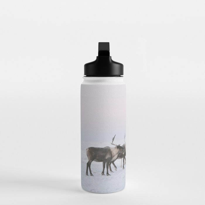 Winter Landscape Photo Art - Lapland Series - Reindeer Moon Minimal Nature Water Bottle Gallery Image 3