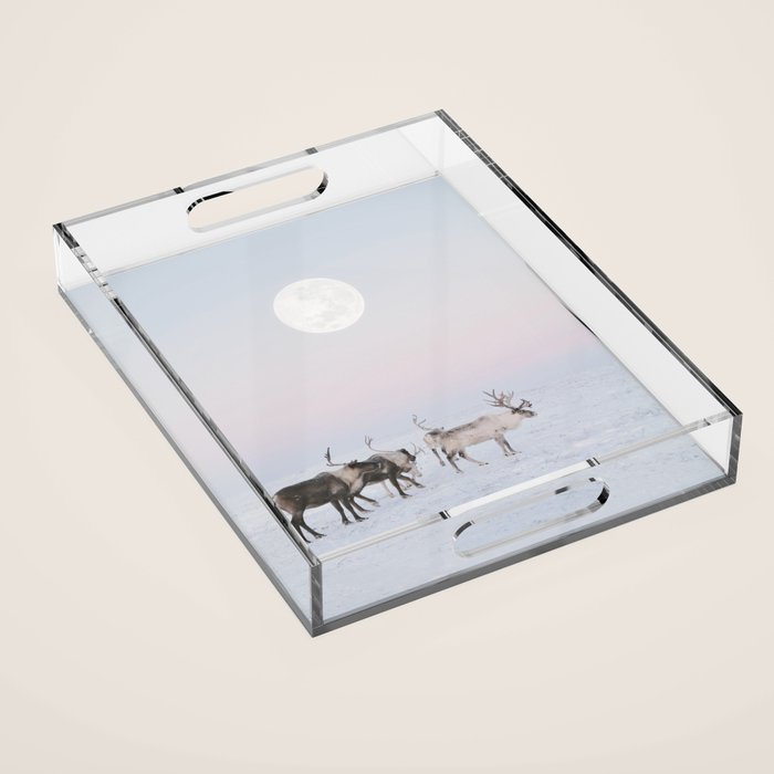Winter Landscape Photo Art - Lapland Series - Reindeer Moon Minimal Nature Acrylic Tray Gallery Image 1