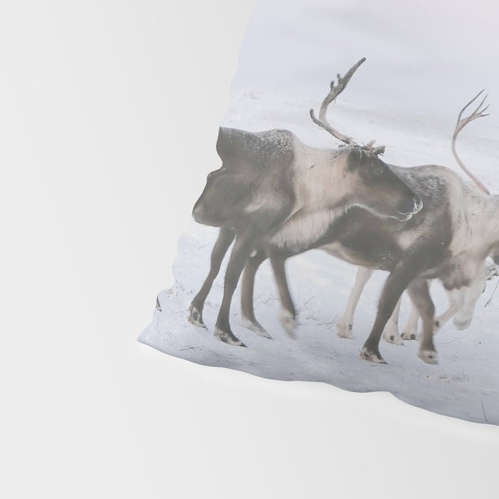 Winter Landscape Photo Art - Lapland Series - Reindeer Moon Minimal Nature Pillow Sham Gallery Image 4