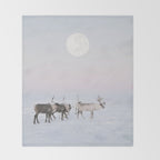 Winter Landscape Photo Art - Lapland Series - Reindeer Moon Minimal Nature Throw Blanket Gallery Image 2