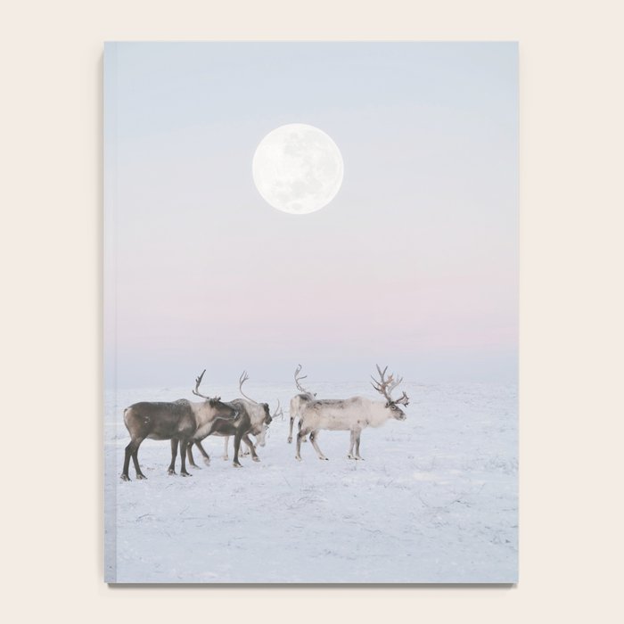 Winter Landscape Photo Art - Lapland Series - Reindeer Moon Minimal Nature Notebook Gallery Image 4