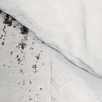 Medium Dots Pattern Black and White Distressed Texture Abstract Comforter Gallery Image 4