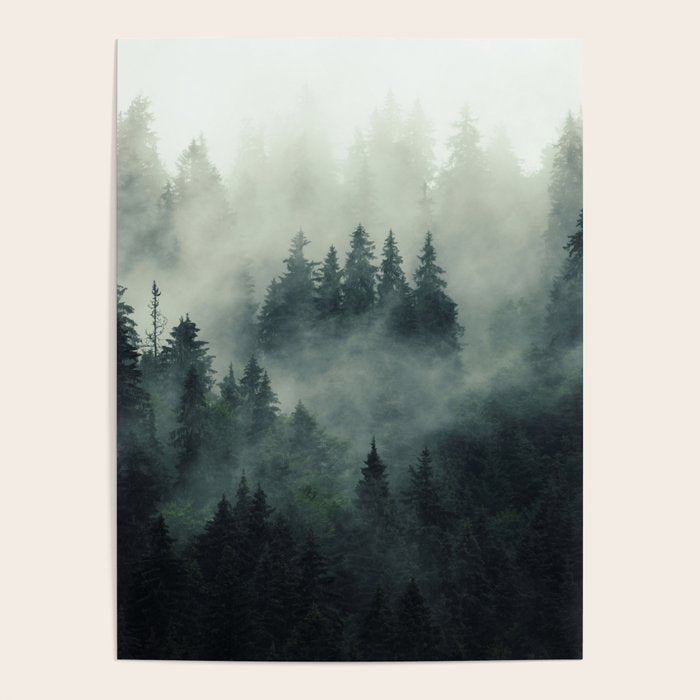 Green misty mountain pine forest in cloudy and rainy - vintage style photo Poster Gallery Image 4