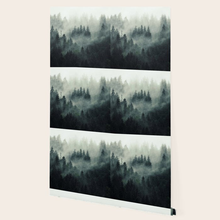 Green misty mountain pine forest in cloudy and rainy - vintage style photo Wallpaper Gallery Image 2