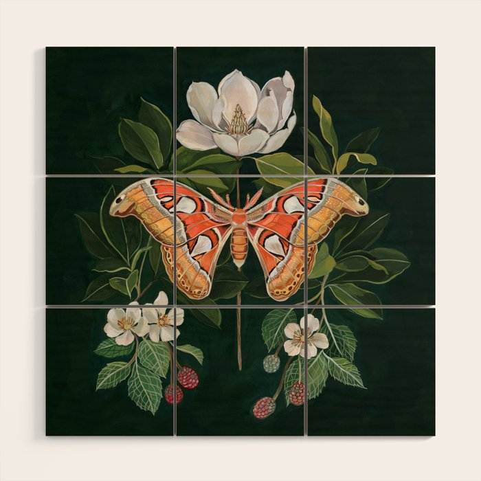 Atlas Moth Magnolia Wood Wall Art Gallery Image 1