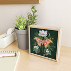 Atlas Moth Magnolia Mini Art Print Gallery Image 2
