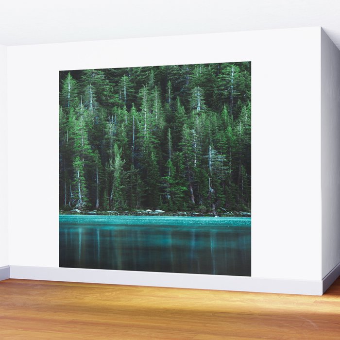 Forest 3 Wall Mural Gallery Image 2