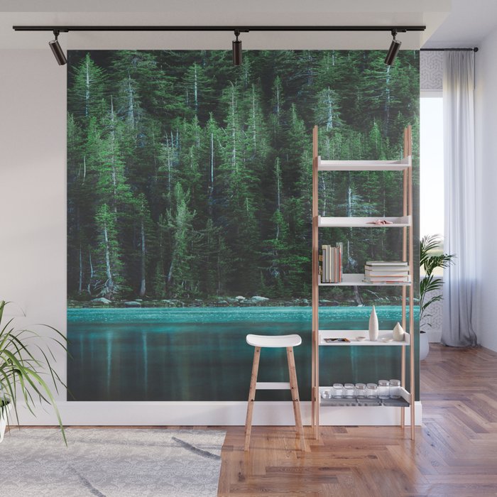 Forest 3 Wall Mural Gallery Image 1