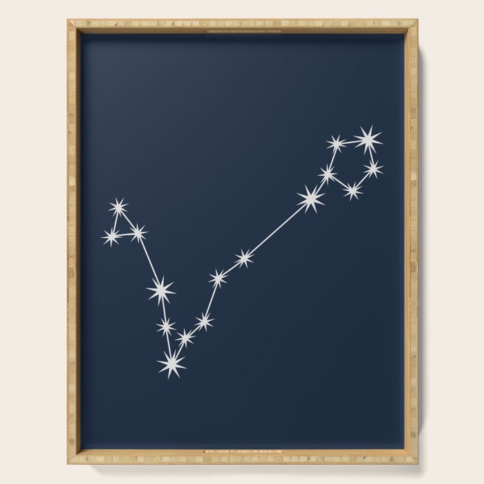 Pisces Zodiac Star Constellation Line Art Dark Blue Serving Tray Gallery Image 1