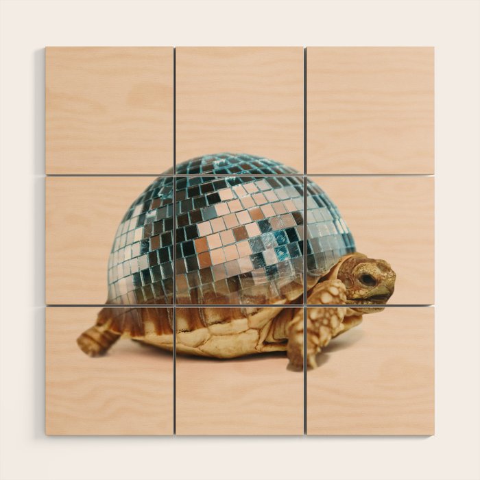 DISCO TURTLE Wood Wall Art Gallery Image 1