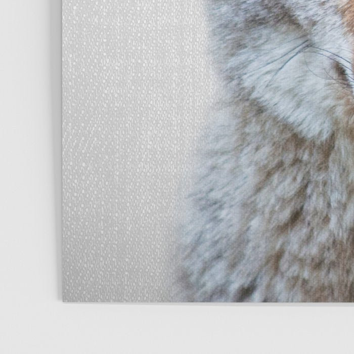 Coyote - Colorful Poster Gallery Image 3