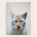 Coyote - Colorful Poster Gallery Image 4
