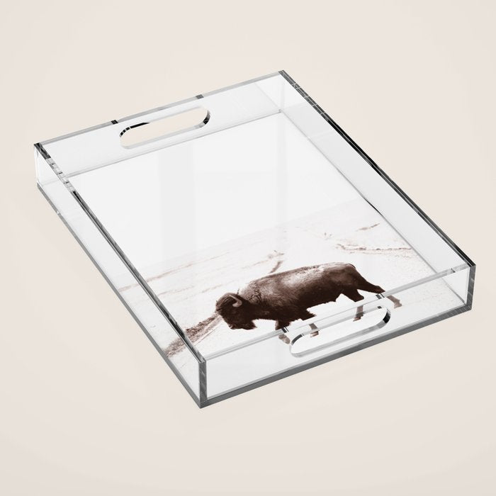 Bison 3 Acrylic Tray Gallery Image 1