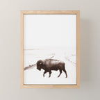Bison 3 Mini Art Print Gallery Image 1