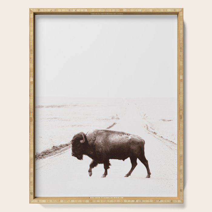 Bison 3 Serving Tray Gallery Image 1
