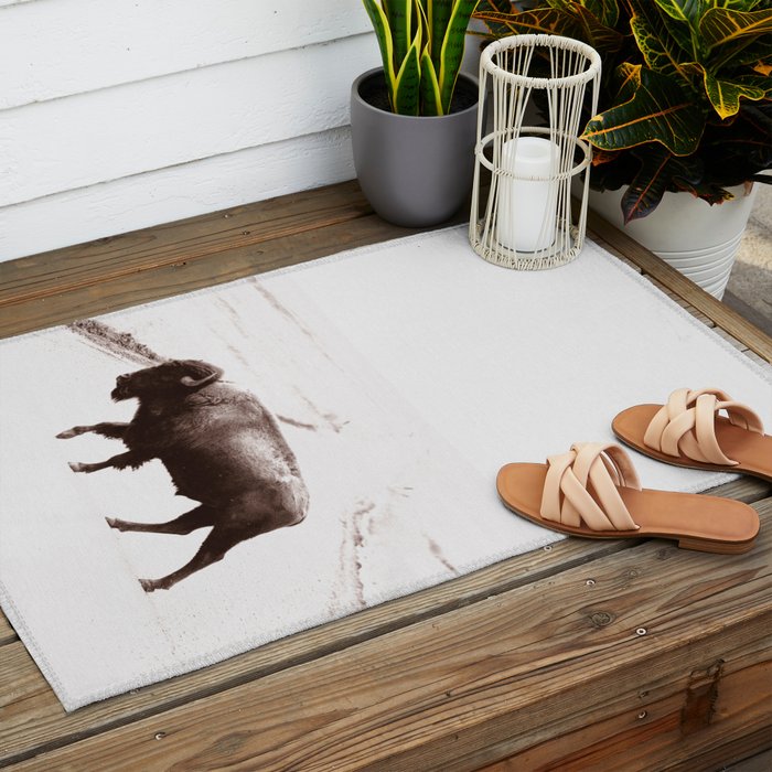 Bison 3 Outdoor Rug Gallery Image 2