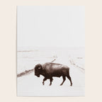 Bison 3 Poster Gallery Image 4