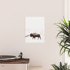 Bison 3 Poster Gallery Image 2