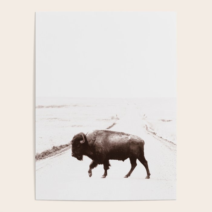 Bison 3 Poster Gallery Image 1