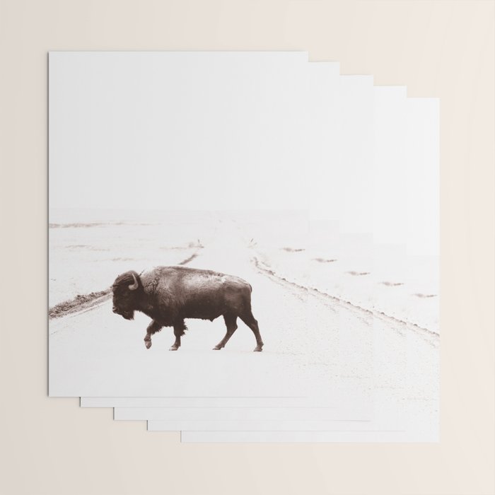 Bison 3 Wrapping Paper Gallery Image 3