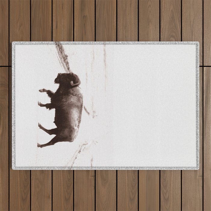 Bison 3 Outdoor Rug Gallery Image 1