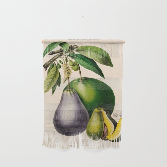 Avocado from "Flore dâAmÃ©rique" by Ãtienne Denisse, 1840s Wall Hanging Gallery Image 1
