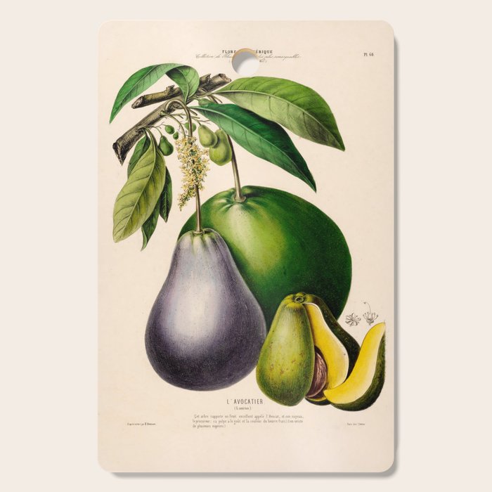 Avocado from "Flore dâAmÃ©rique" by Ãtienne Denisse, 1840s Cutting Board Gallery Image 1