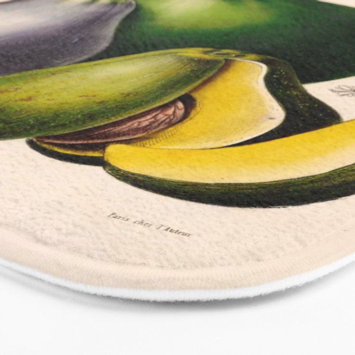 Avocado from "Flore dâAmÃ©rique" by Ãtienne Denisse, 1840s Bath Mat Gallery Image 3