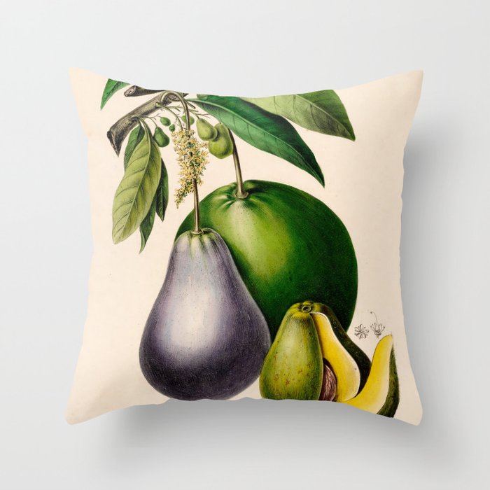 Avocado from "Flore dâAmÃ©rique" by Ãtienne Denisse, 1840s Throw Pillow Gallery Image 6