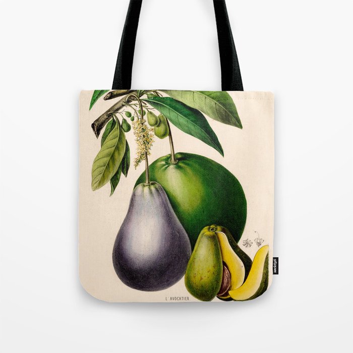Avocado from "Flore dâAmÃ©rique" by Ãtienne Denisse, 1840s Tote Bag Gallery Image 1