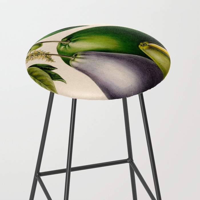 Avocado from "Flore dâAmÃ©rique" by Ãtienne Denisse, 1840s Stool Gallery Image 2