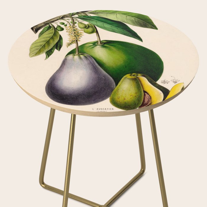 Avocado from "Flore dâAmÃ©rique" by Ãtienne Denisse, 1840s Side Table Gallery Image 2
