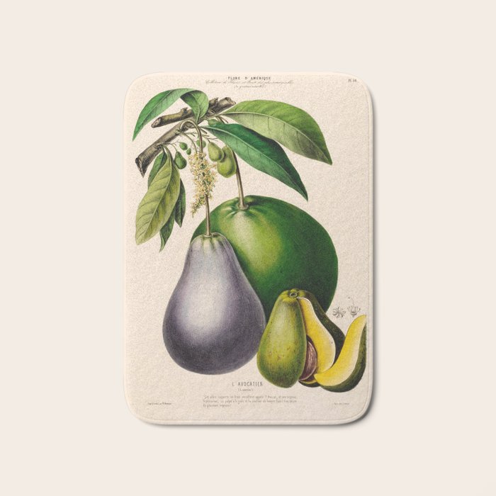 Avocado from "Flore dâAmÃ©rique" by Ãtienne Denisse, 1840s Bath Mat Gallery Image 1