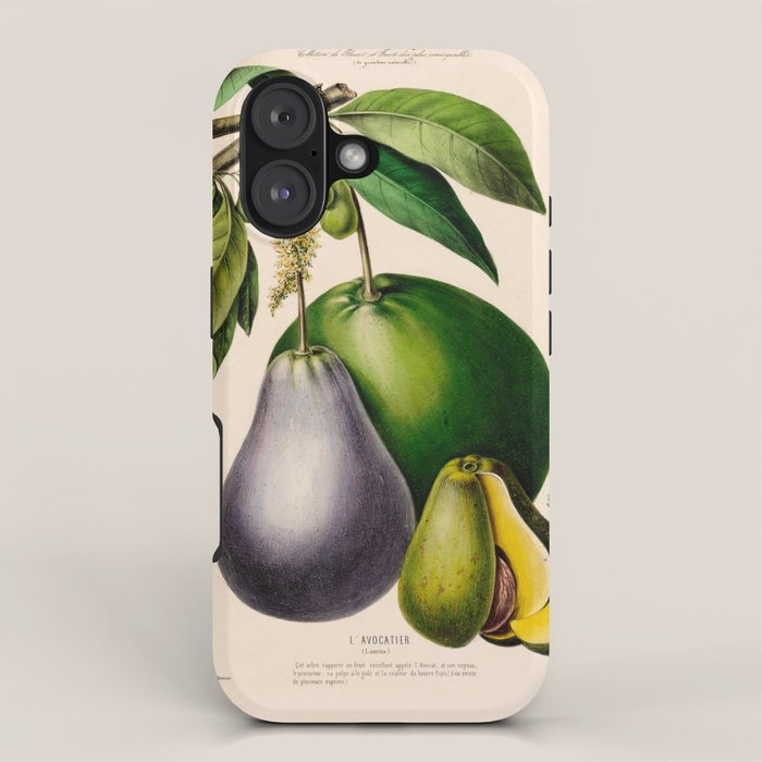 Avocado from "Flore dâAmÃ©rique" by Ãtienne Denisse, 1840s iPhone Case Gallery Image 1