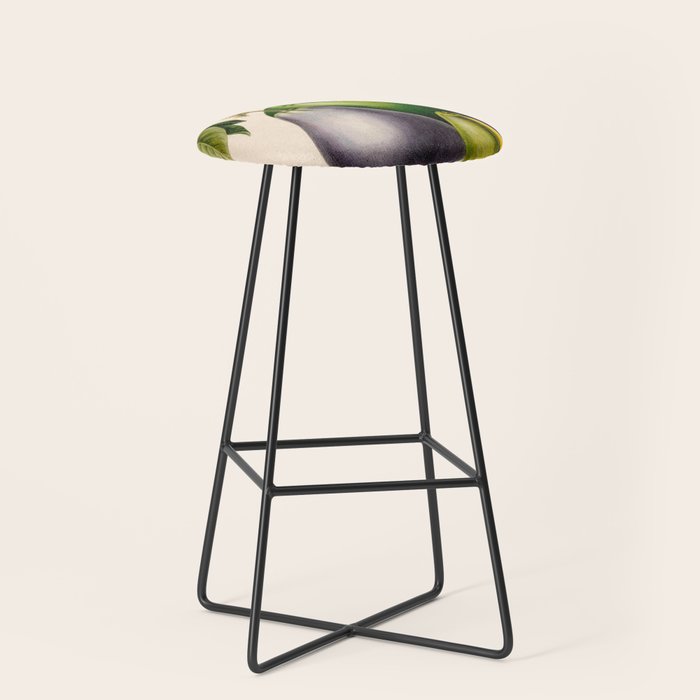 Avocado from "Flore dâAmÃ©rique" by Ãtienne Denisse, 1840s Stool Gallery Image 1