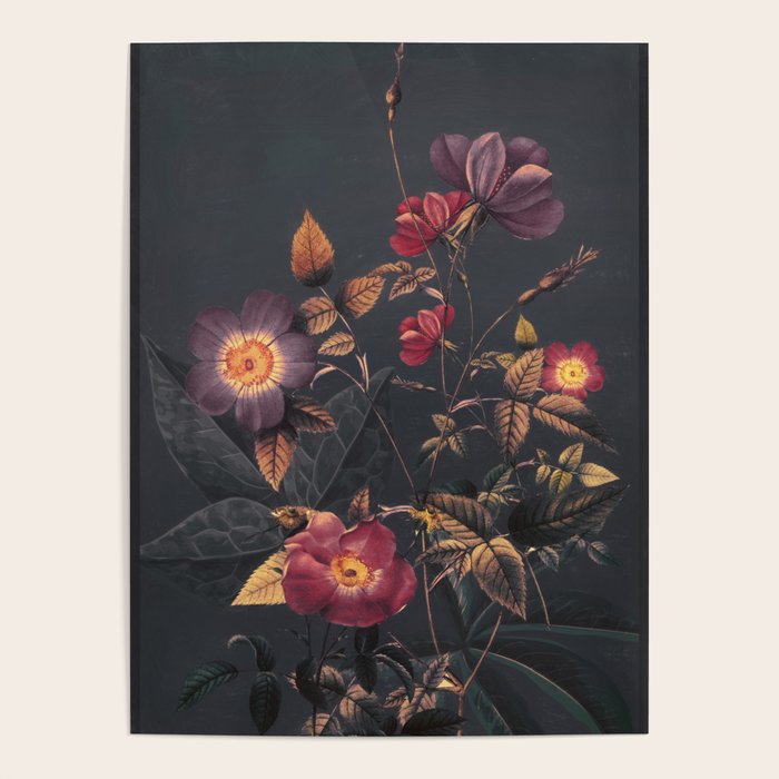 Night Garden 4 Poster Gallery Image 4